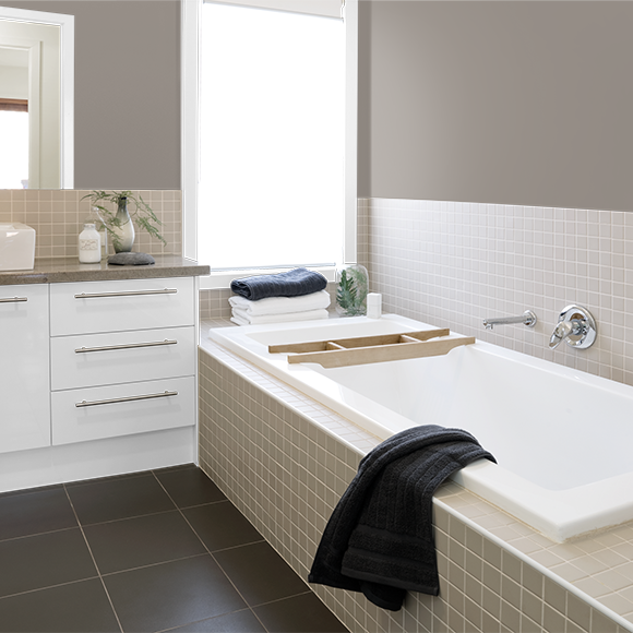 Paint Colour Visualiser Image