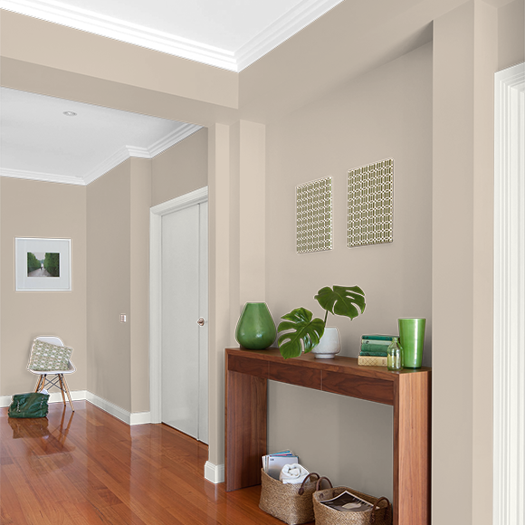 Paint Colour Visualiser Image